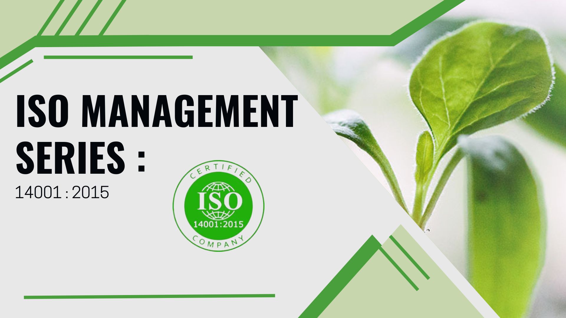 ISO Management Series: 14001:2015