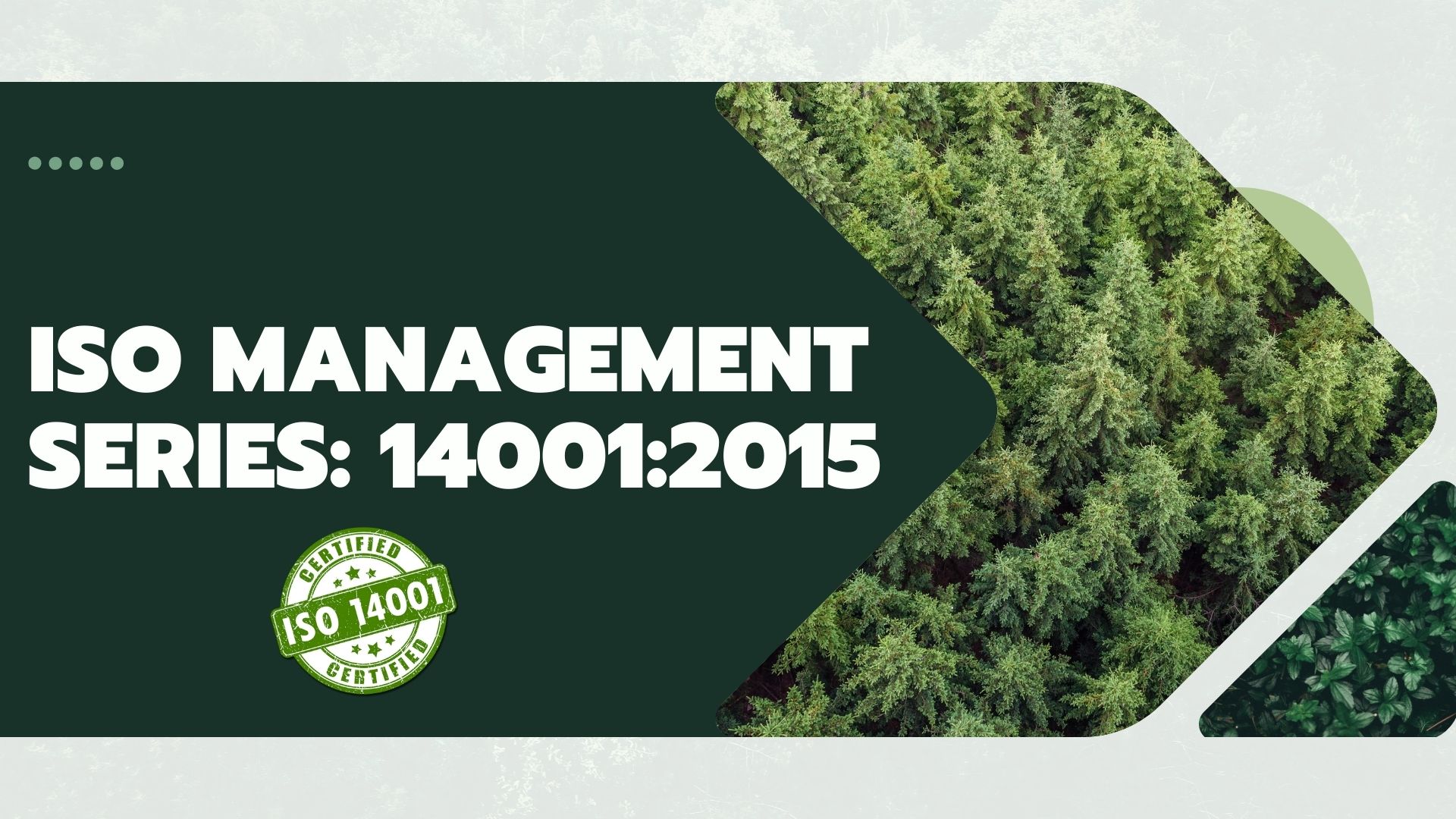 ISO Management Series: 14001:2015